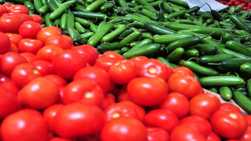 Türkiye’de tüketilen biber, domates ve salatalığın yüzde 15’i zehirli